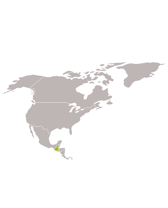 Guatemala, Honduras y El Salvador con Marc Espín