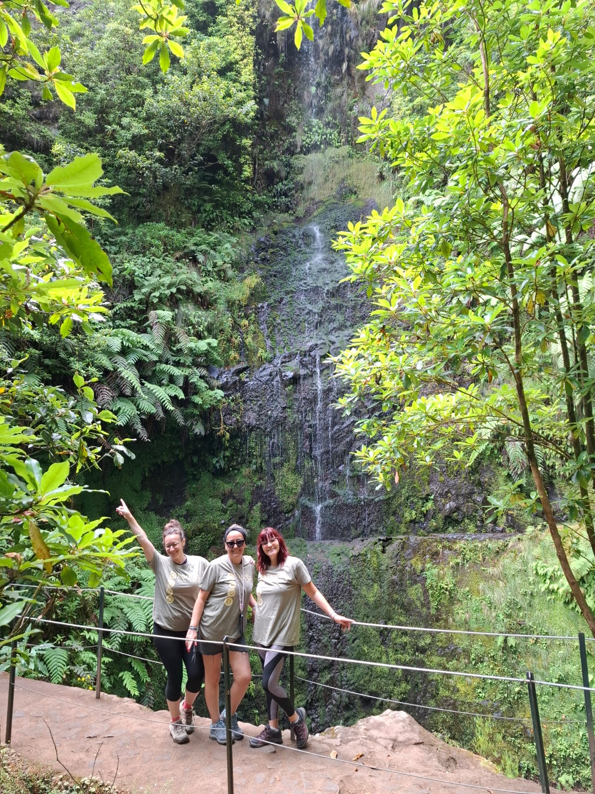 Cascada natural en Madeira entre vegetación