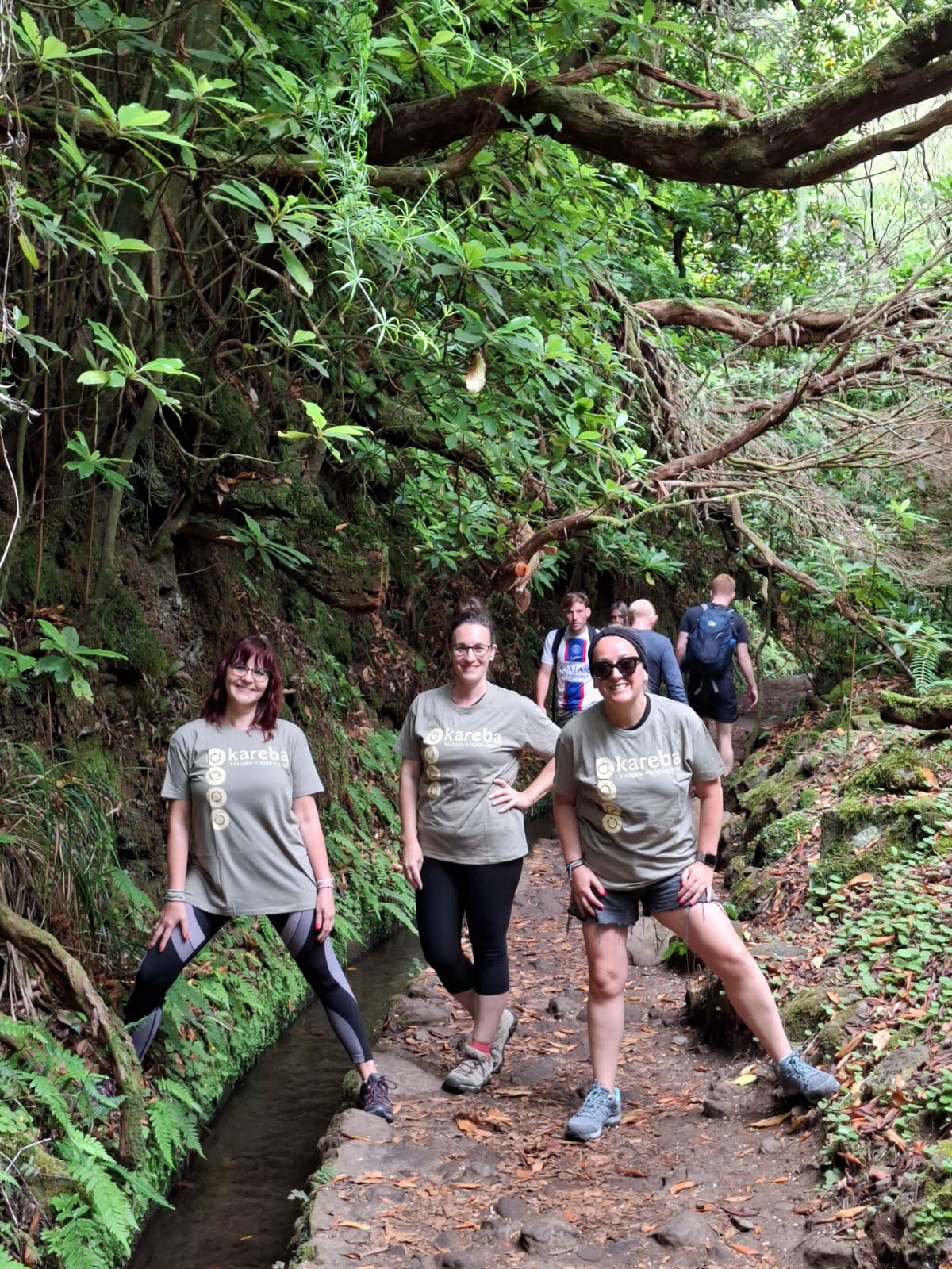 Ruta de levadas en Madeira con grupo