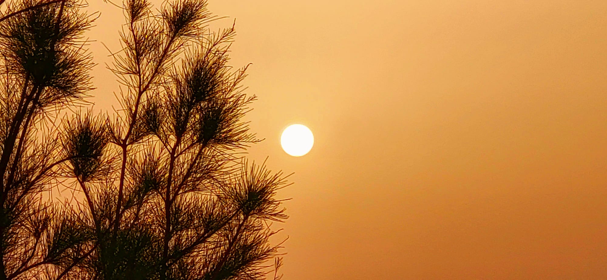 amanecer en marruecos