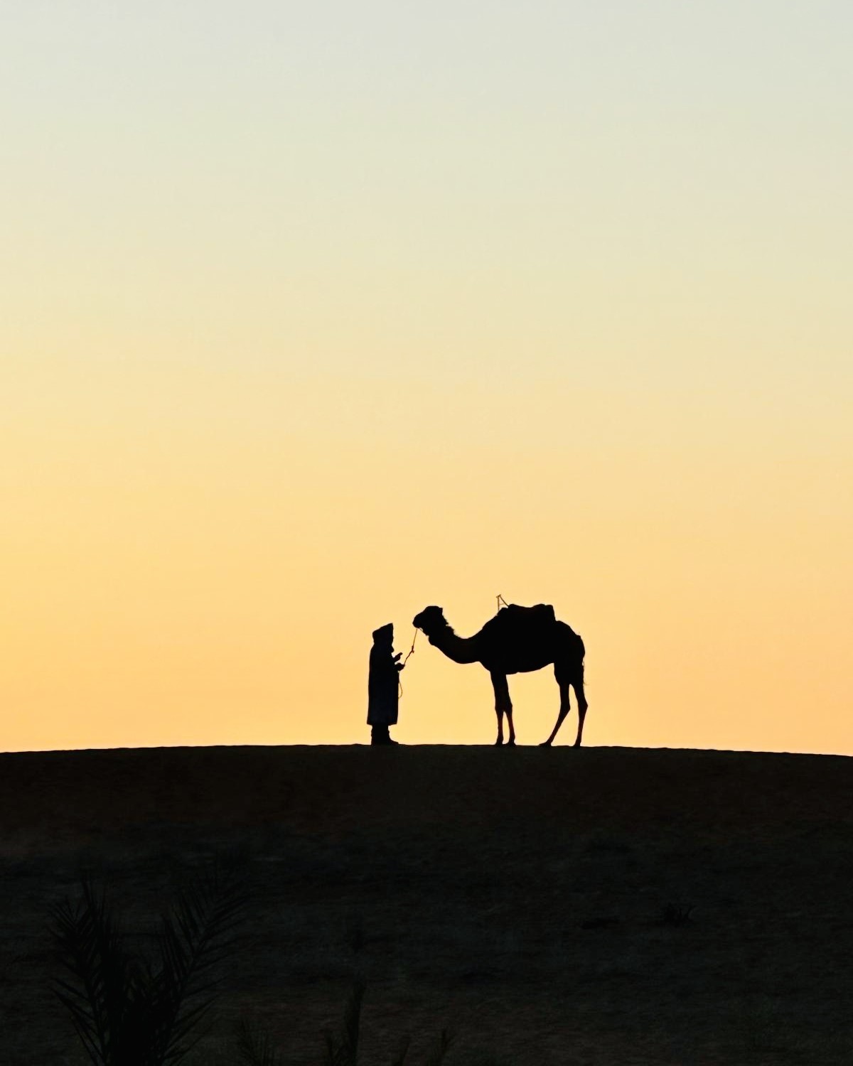 desierto en marruecos