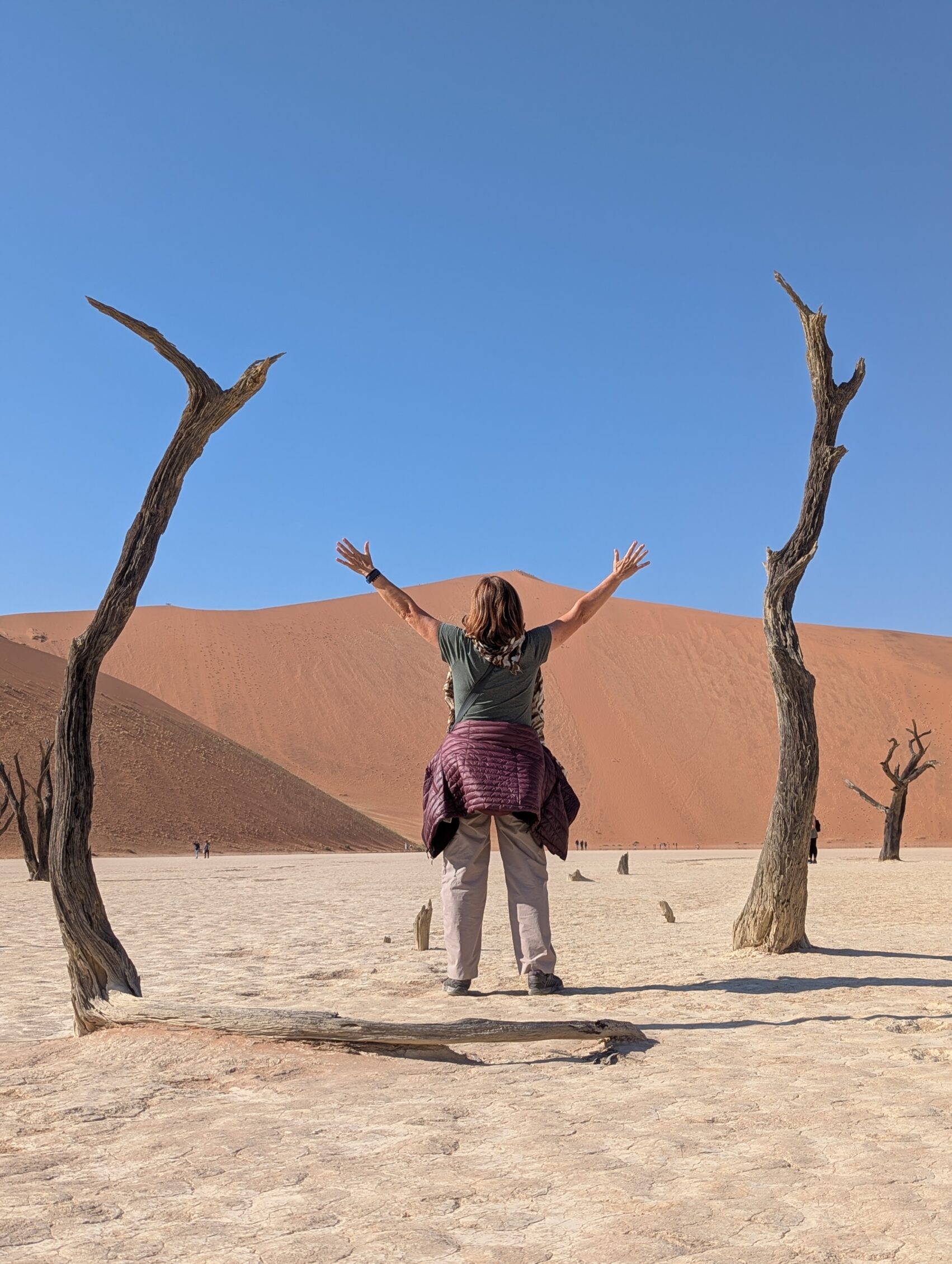 desierto seco de namibia