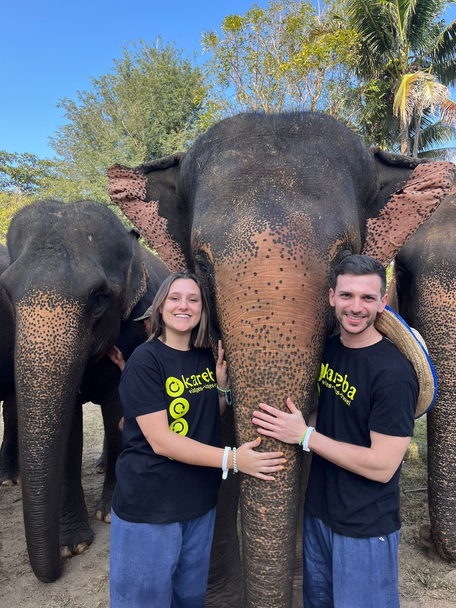 elefantes en libertad tailandia