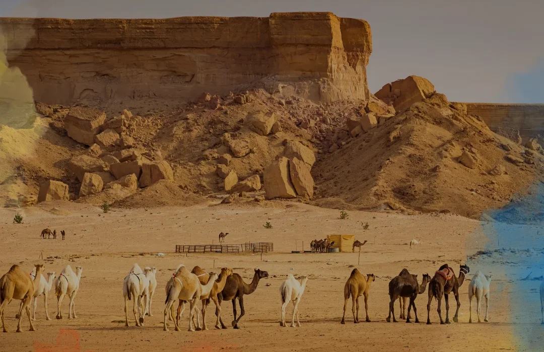 Arabia3