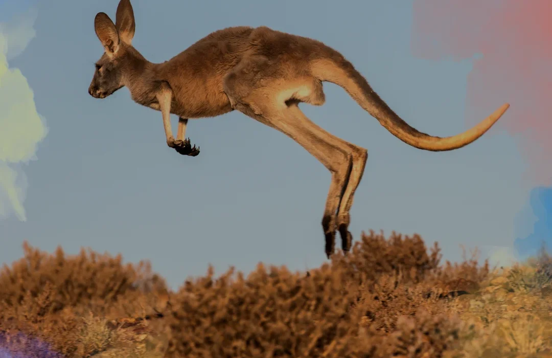 Australia6