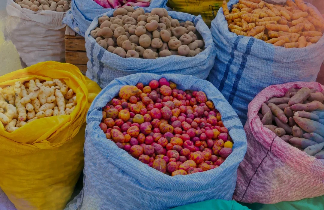 Bolivia4