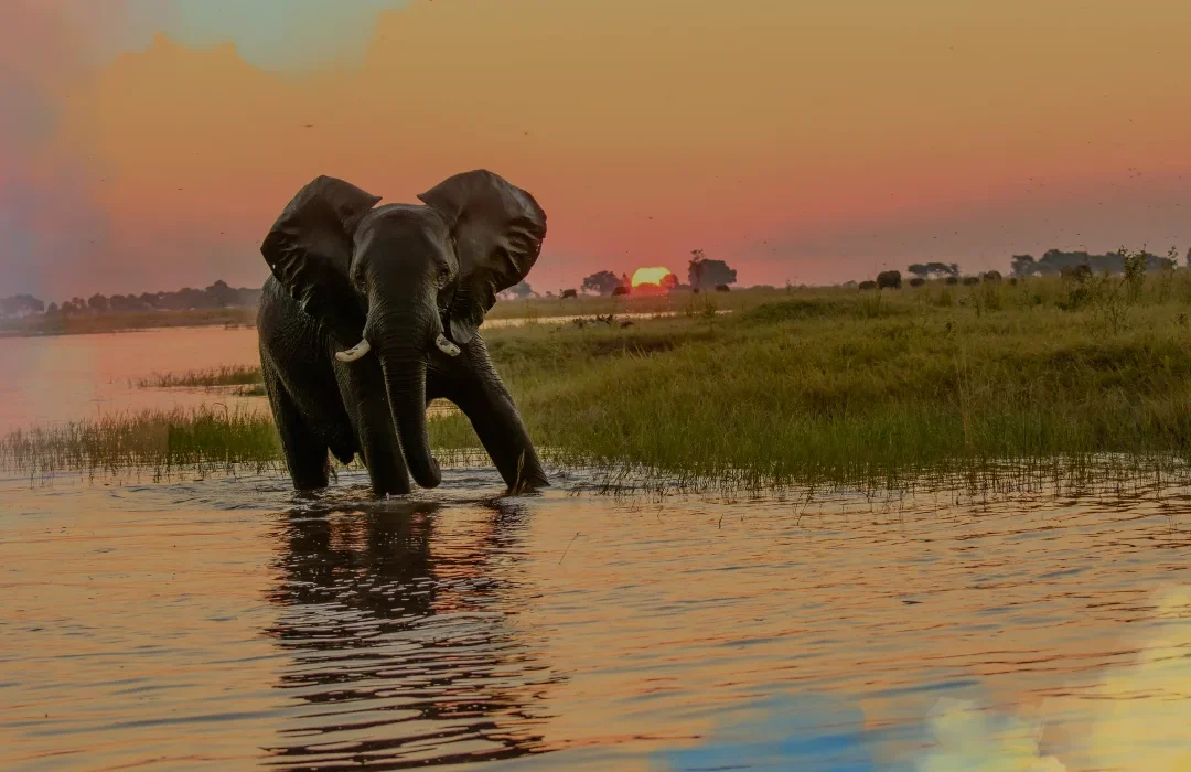 Botswana2 Botswana2
