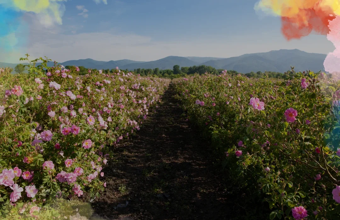 Bulgaria1