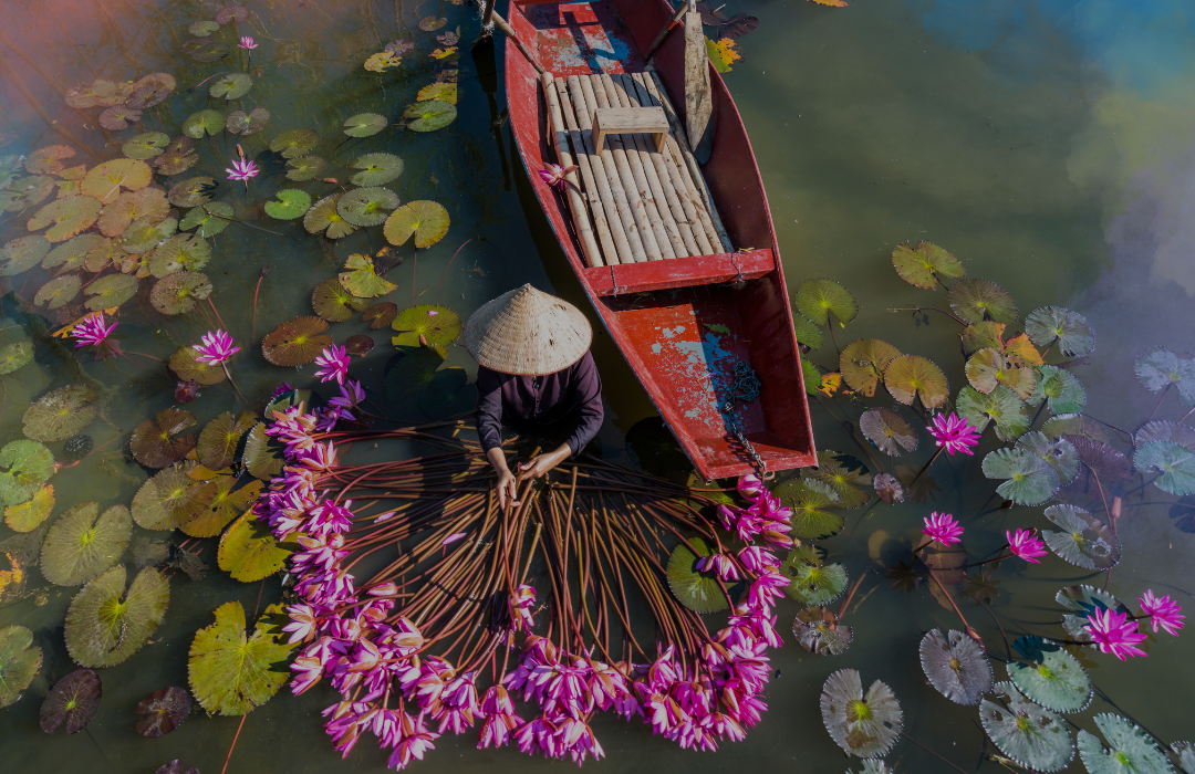Camboya6 Camboya6