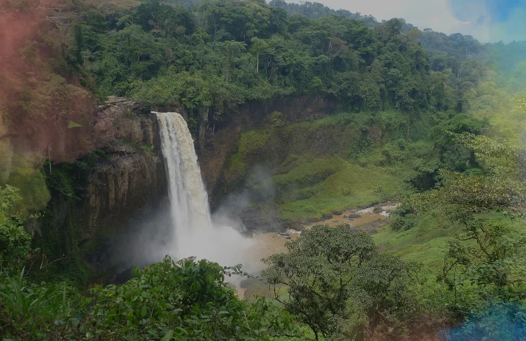 Camerun6