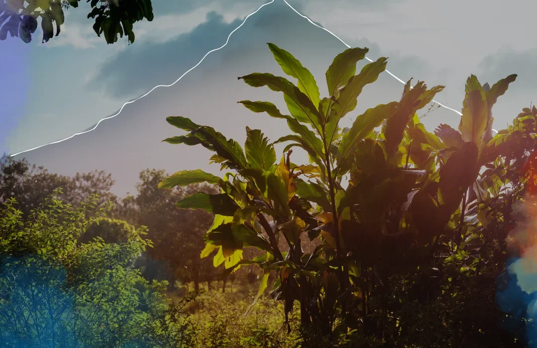 Costa Rica2