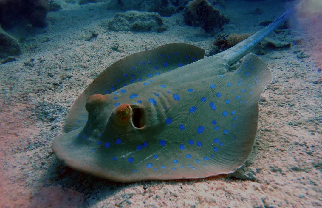 Costa Rica5
