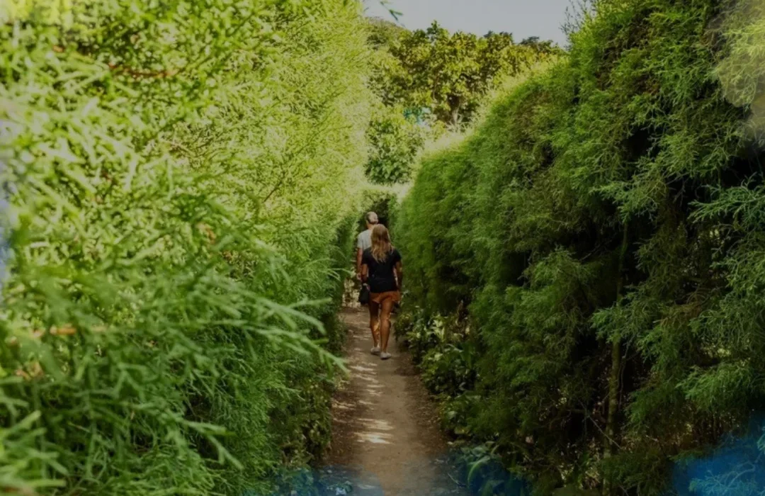 El Salvador2
