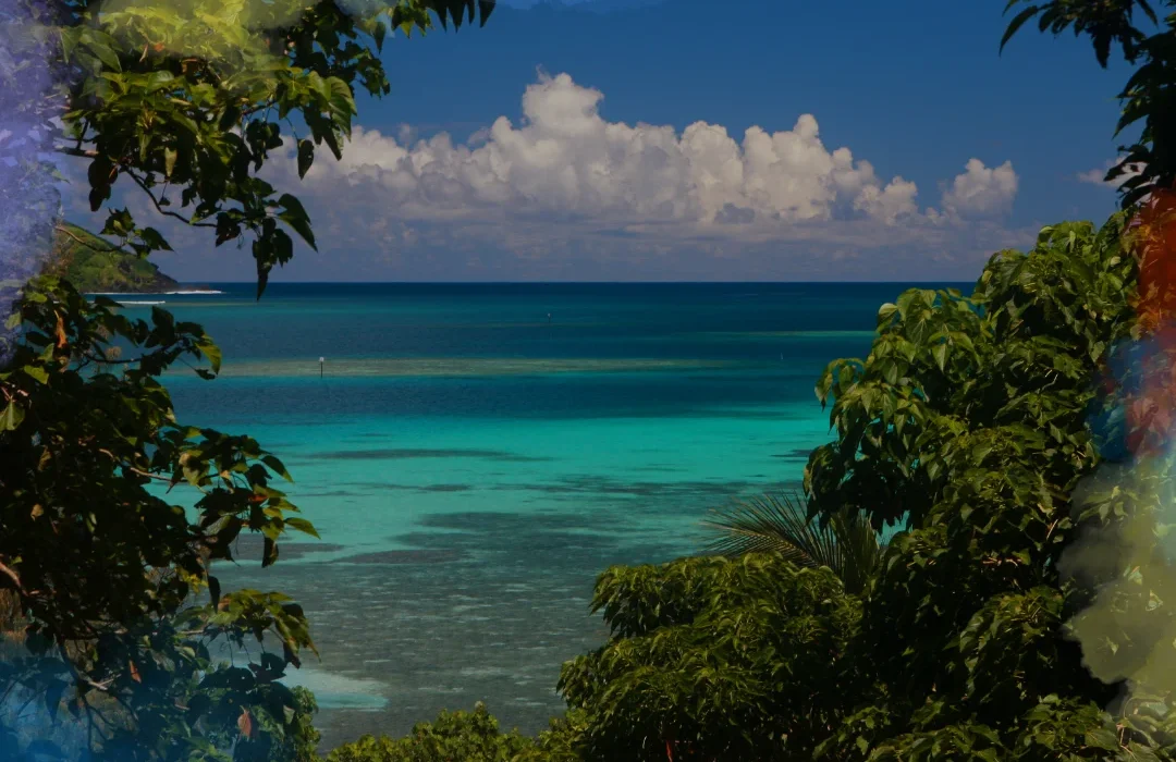 Fiji5