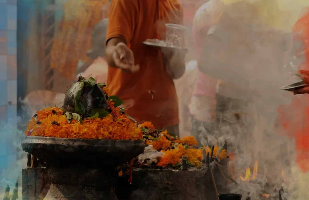 India6