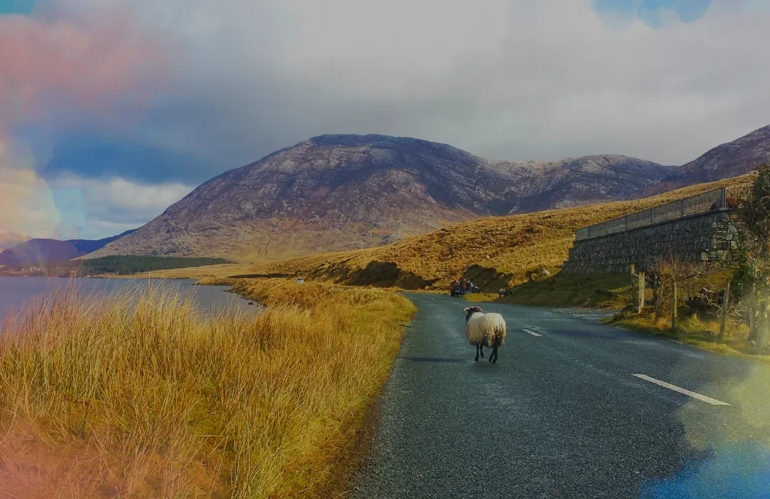 Irlanda1
