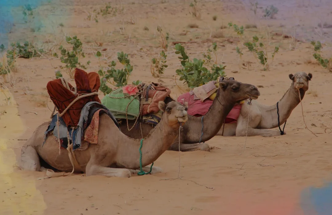 Mauritania2