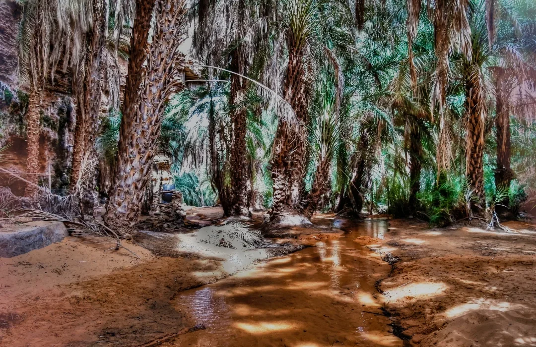 Mauritania5