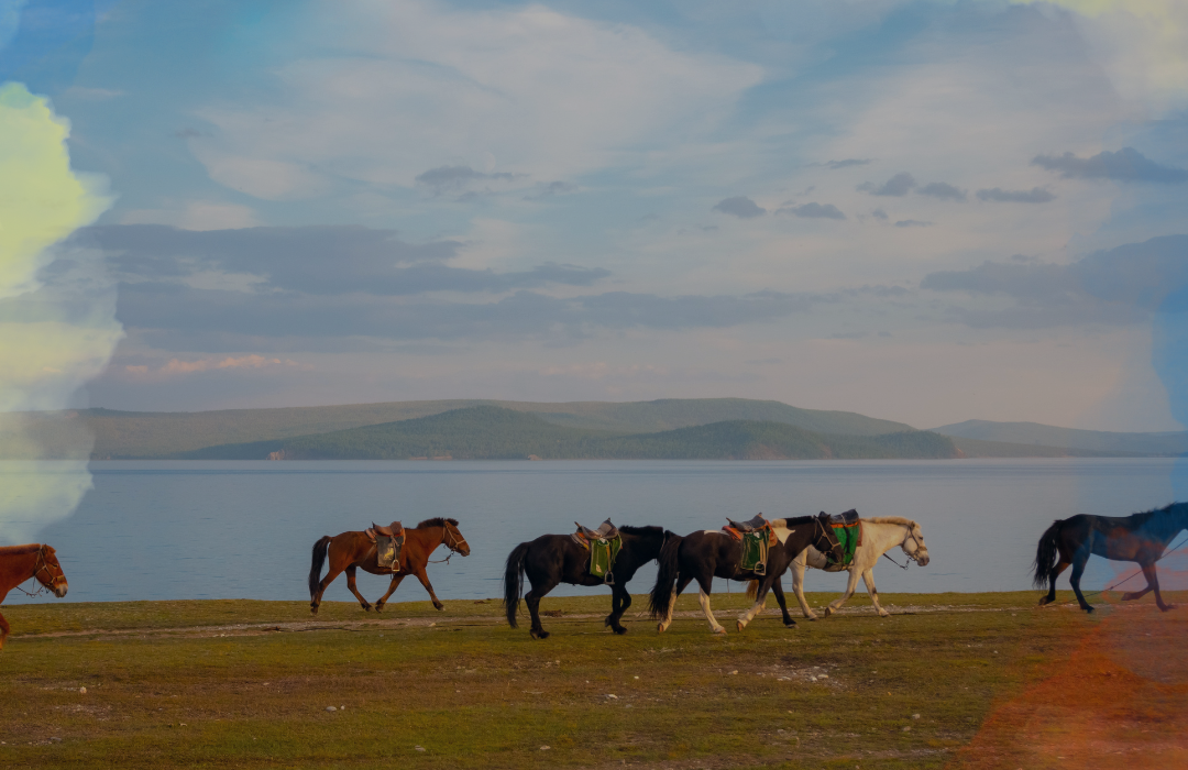 Mongolia4