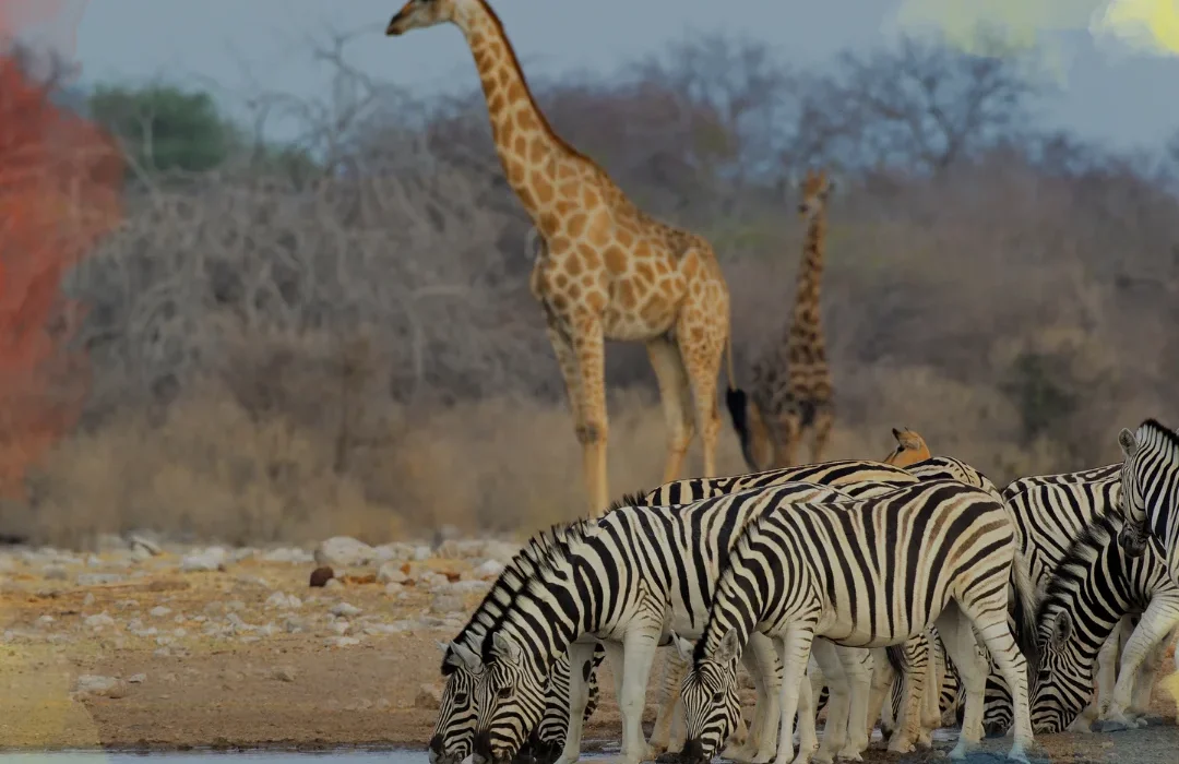 Namibia1