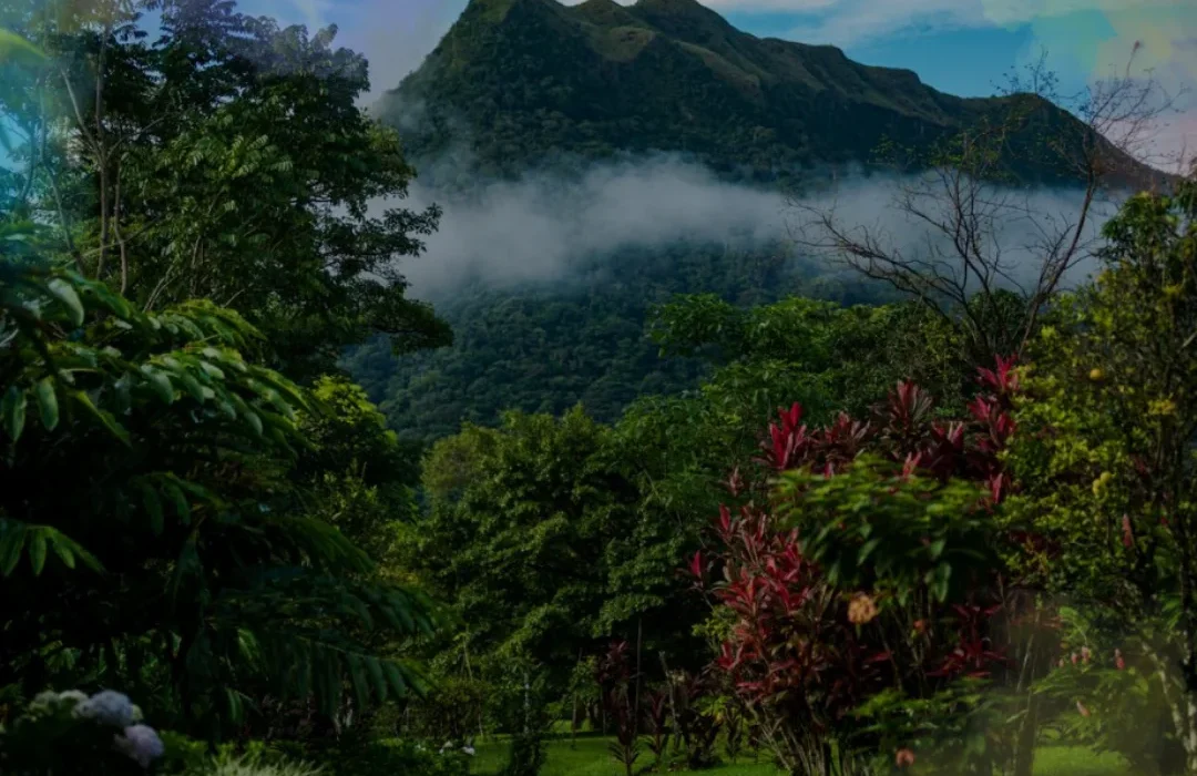 Panama6