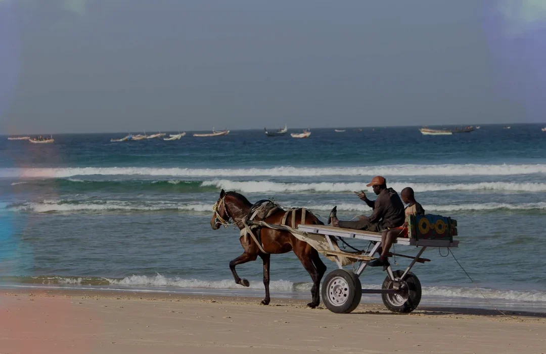 Senegal5