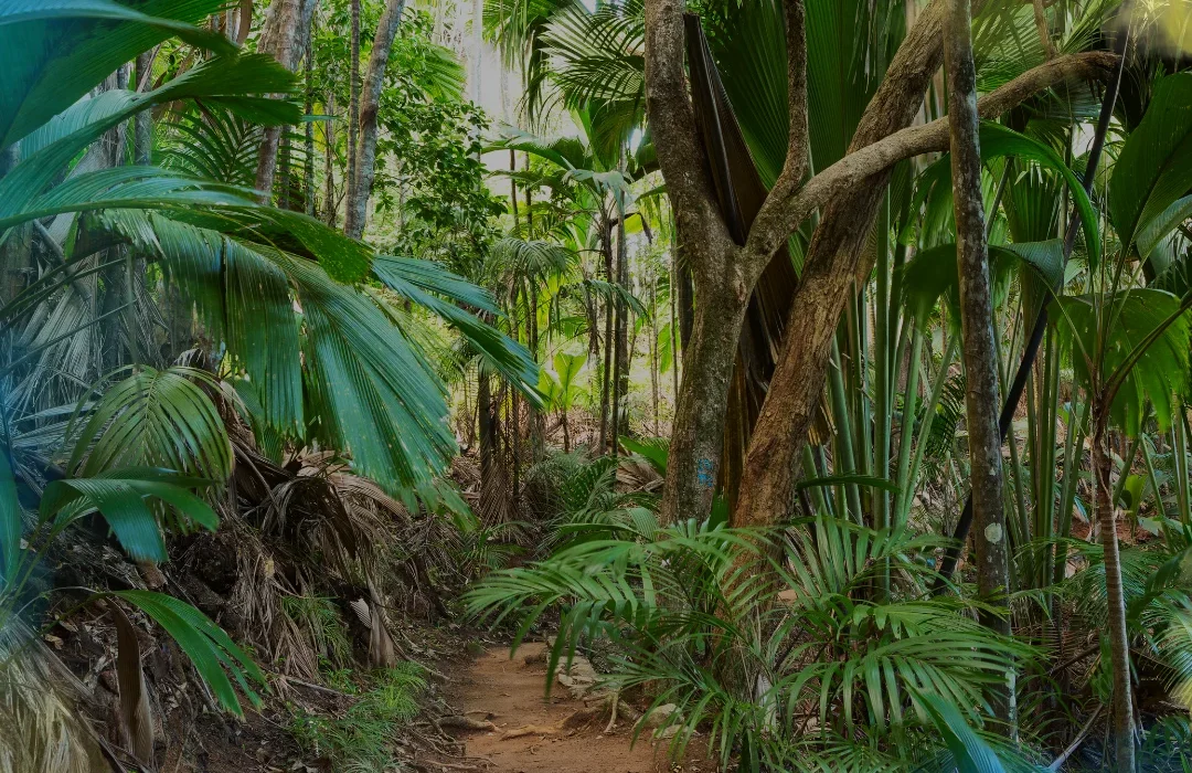 Seychelles2