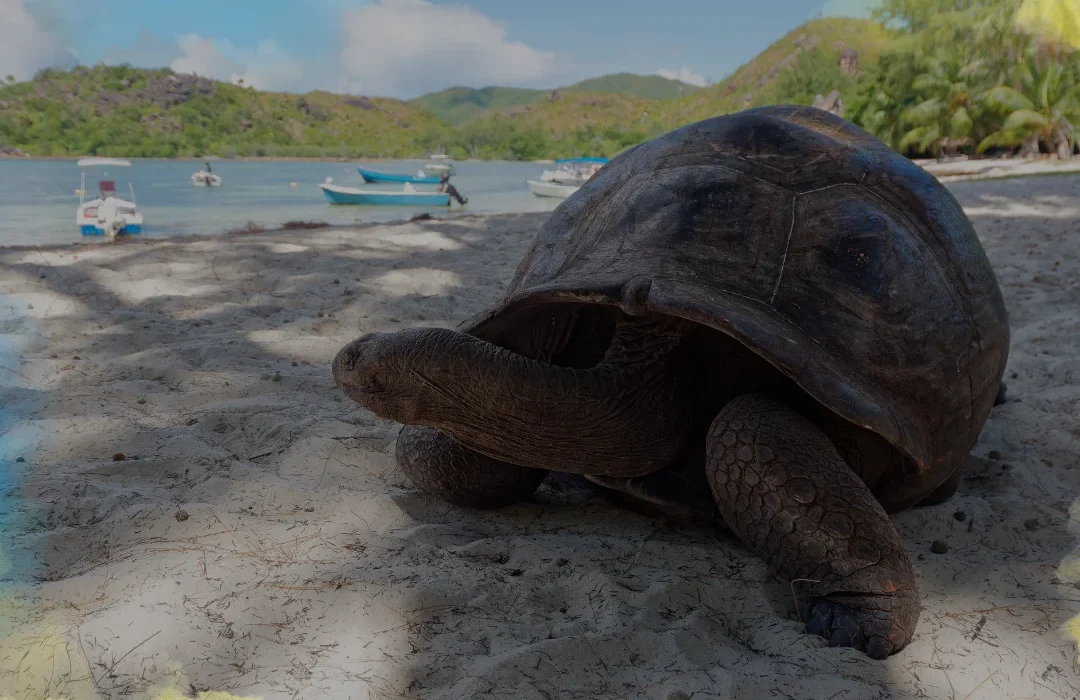Seychelles4