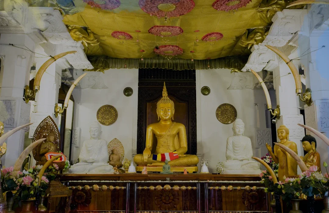Sri Lanka5