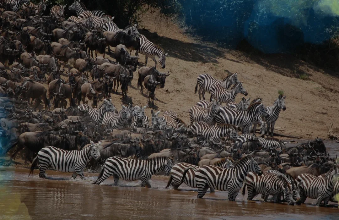Tanzania1
