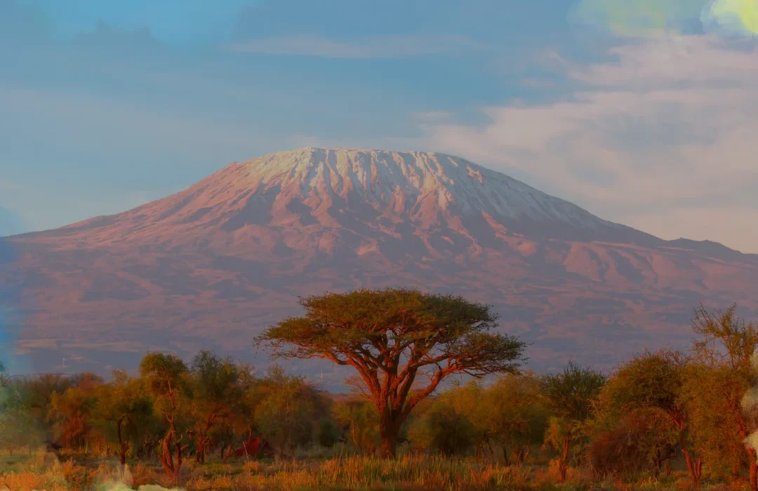 Tanzania2