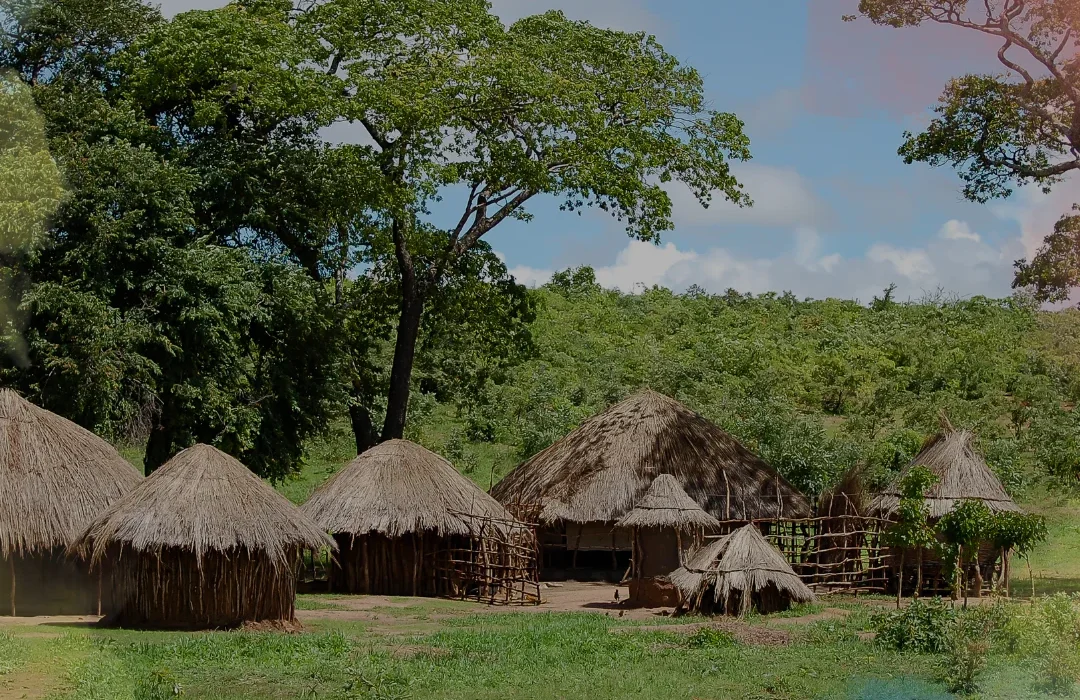 Zambia4