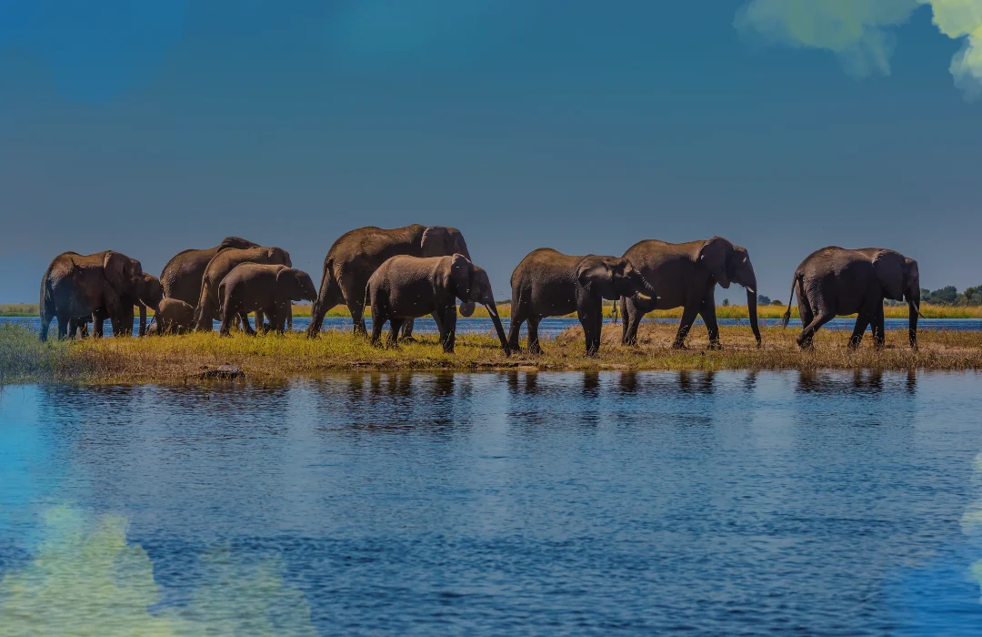 Zimbabue4