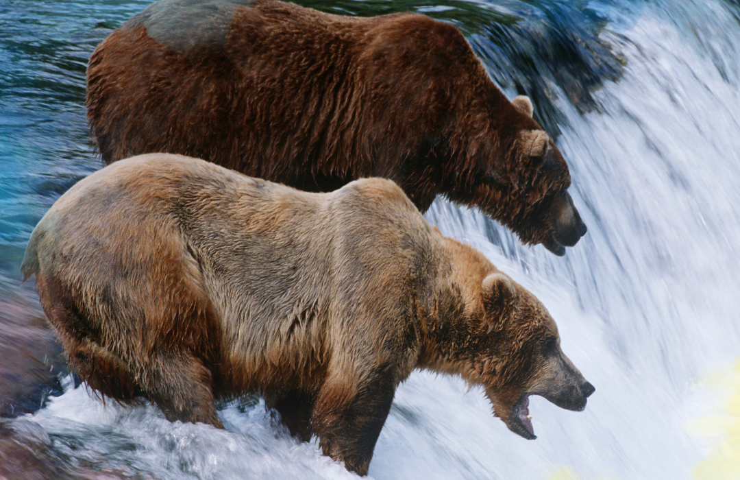 alaska 4