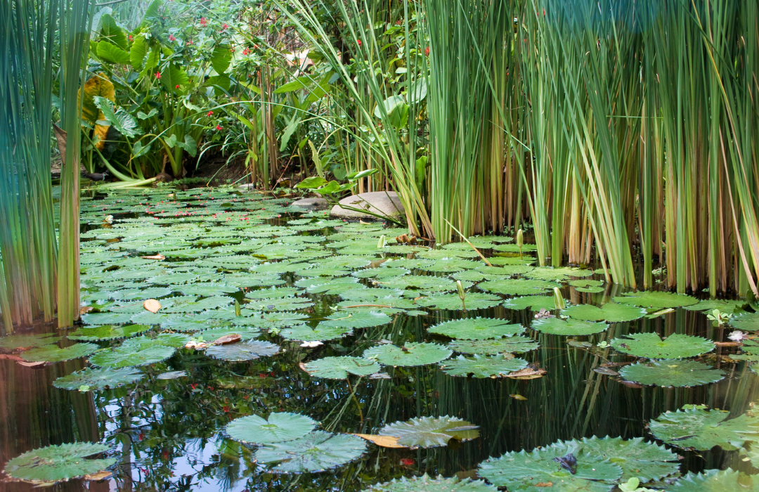 colombia ruta colonial 5