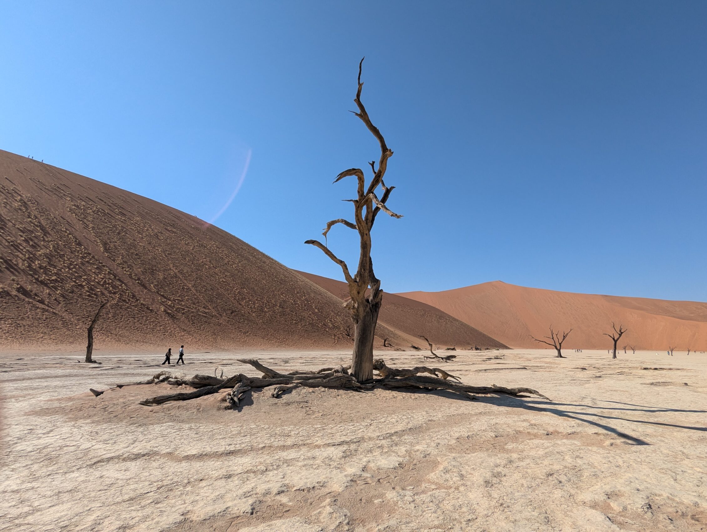 parque nacional de namibia