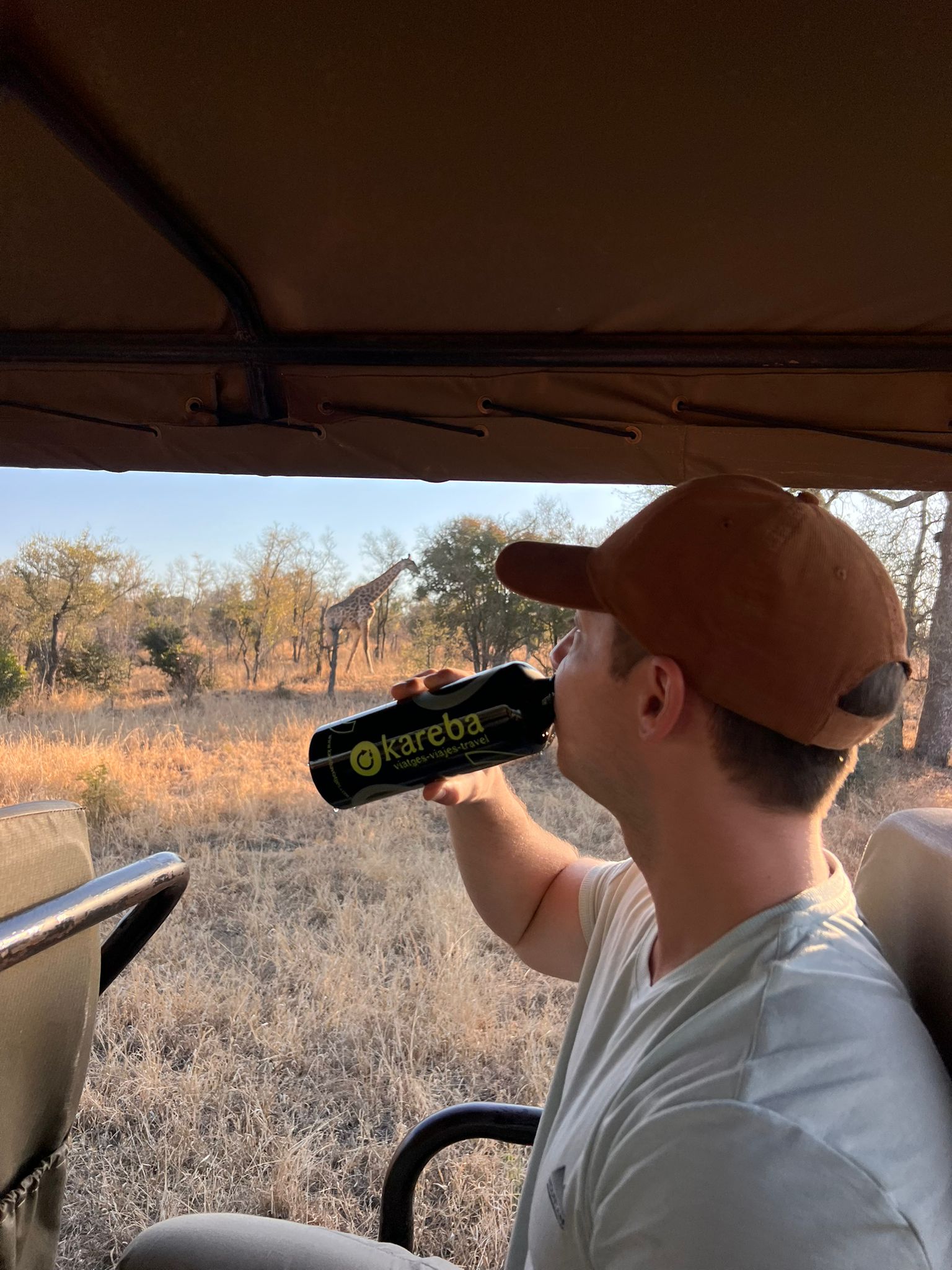 safari por sudafrica