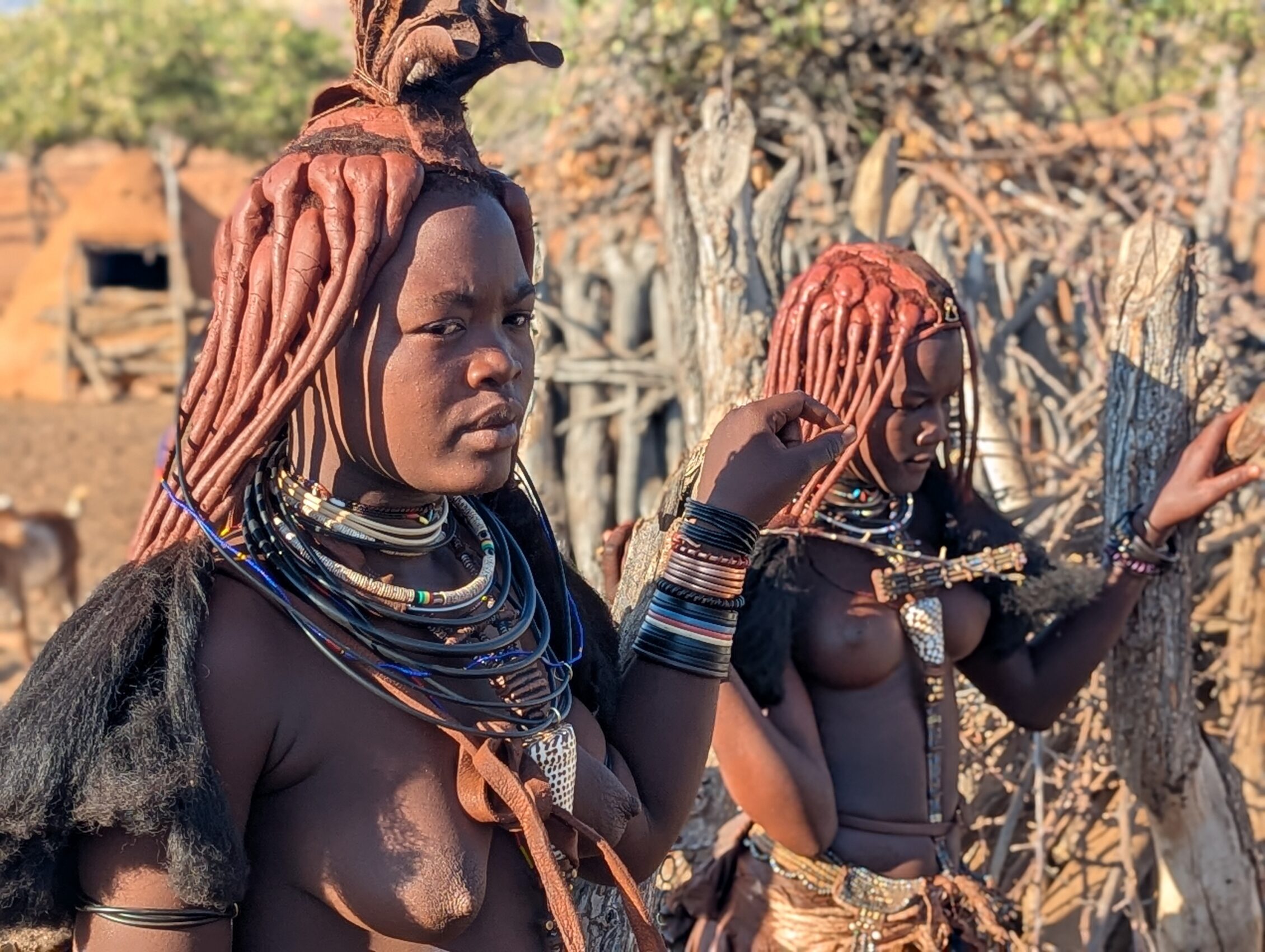 tribus locales de namibia