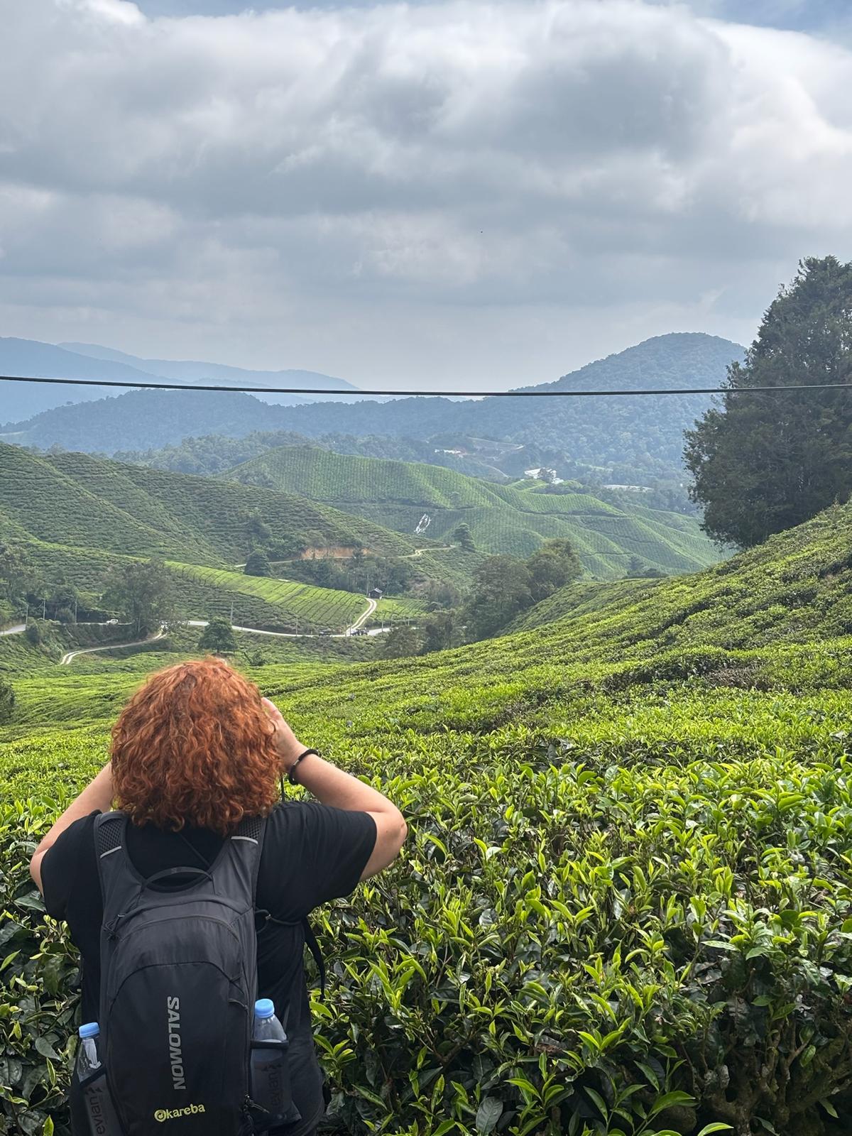 viajera entre plantaciones de te en malasia